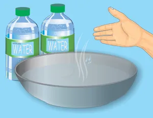 Почему дистиллированная вода полезна для вас
