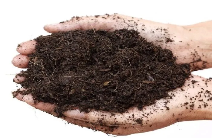 Характеристики надземной части - зависят от состава почвы (3-й год, естественная среда)