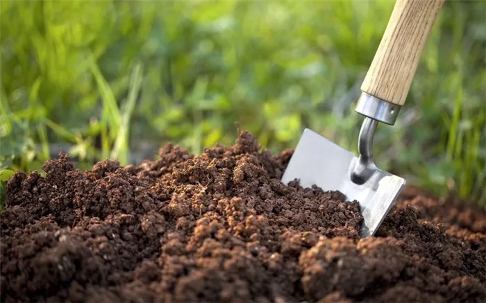 Состав почвы, основные характеристики и свойства