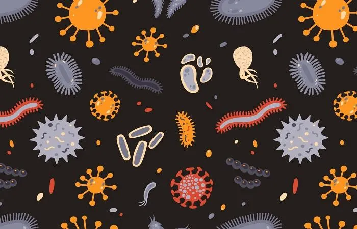 Молекулы и бактерии