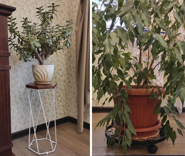Слева: вазон для цветов лофт, справа: тип напольного основания для более крупных растений.