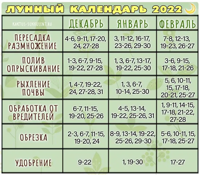 Календарь зимних месяцев на 2022 год