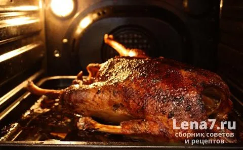 Включите вентилятор в конце приготовления, чтобы довести до готовности мясо гуся, когда оно уже запечется.