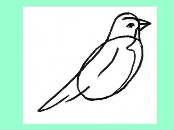 Как рисовать птиц: попугая, сову, лебедя, голубя