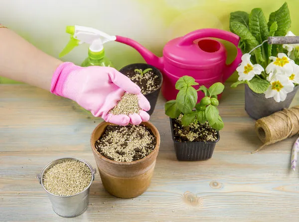 Почву для комнатных растений и растительности можно улучшить с помощью вермикулита