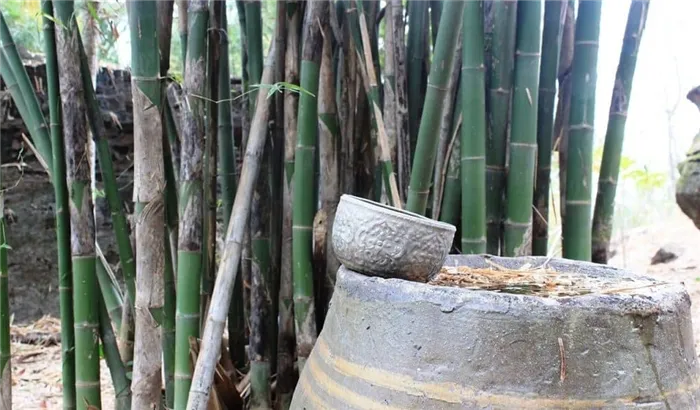 Бамбук как строительный материал в Эфиопии