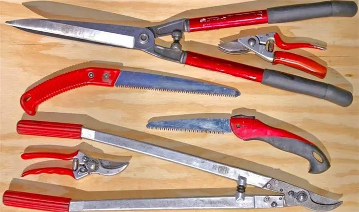 Инструменты для обрезки деревьев