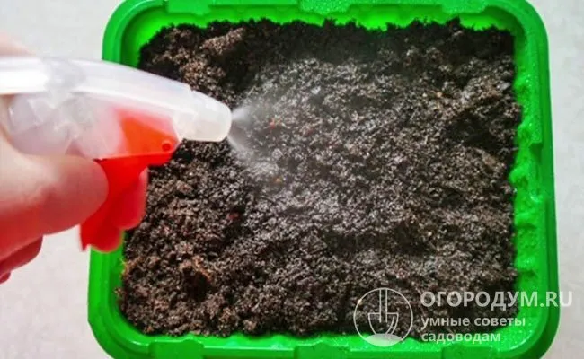 При посеве семян на небольшую глубину рекомендуется использовать систему орошения с распылением, чтобы транспортировать семена на глубину и не задерживать их.
