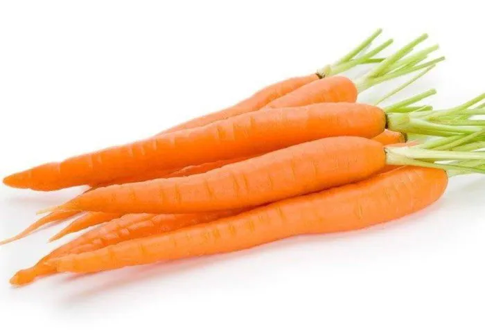 Морковь для коров