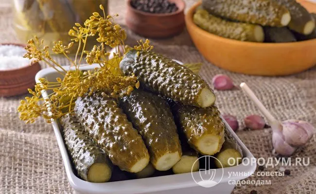 Соленые огурцы и огуречные маринады - это традиционные угощения, которые пользуются неизменным спросом зимой.