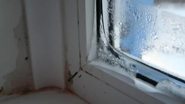 Почему потеют пластиковые окна в вашем доме