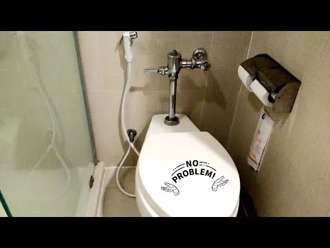 Туалетные раковины в США. Умная система! Не требуется туалетная щетка или бумага!