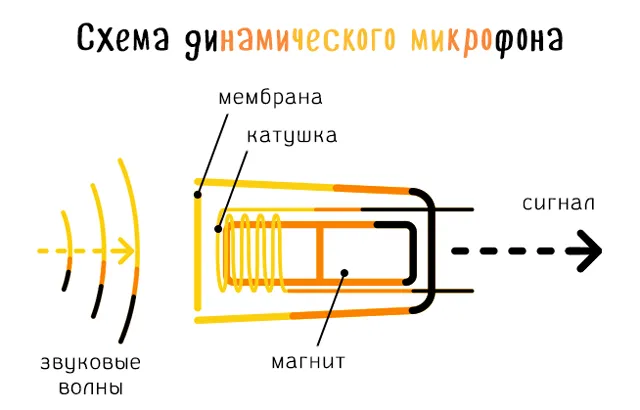 Принципиальная схема типичного динамического микрофона