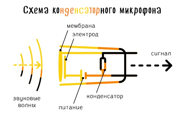 Схема базового конденсаторного микрофона