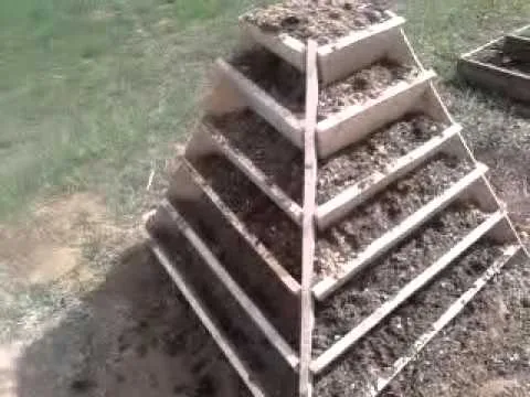 Пирамиды для выращивания клубники