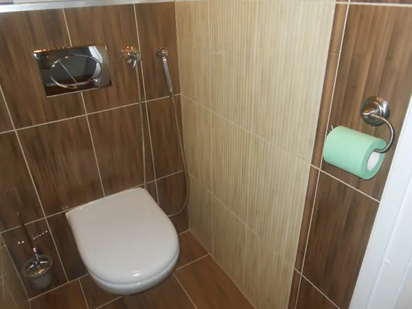 Встроенный душ в туалете на стене