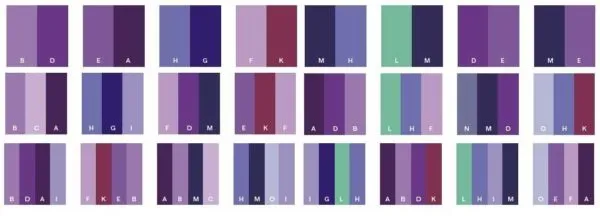 Классическое сочетание фиолетового и других цветов.