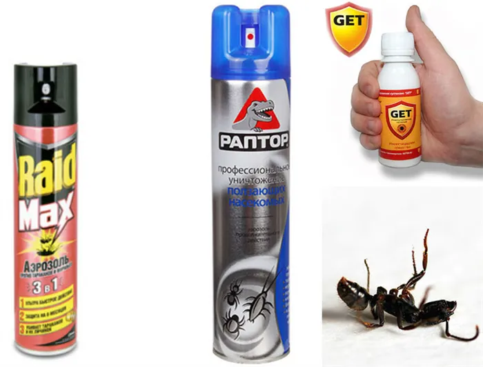Как избавиться от черных муравьев в домашних условиях - особенно спрей