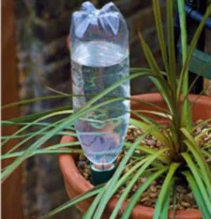 Полив растений с помощью бутылок, Как поливать цветы во время отпуска