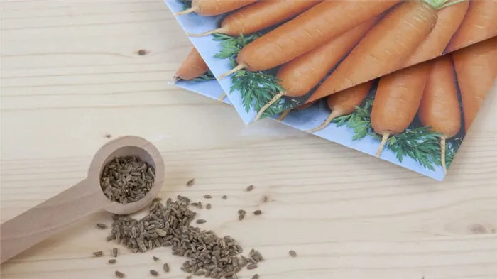 Лучшие практики и советы о том, как посадить морковь так, чтобы ее не нужно было разбавлять
