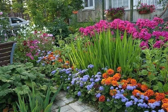 Цветы в летнем домике