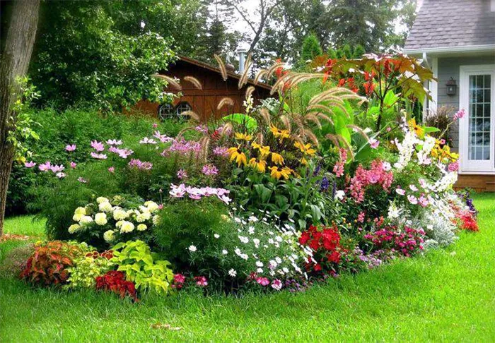 Как посадить цветы в красивом саду