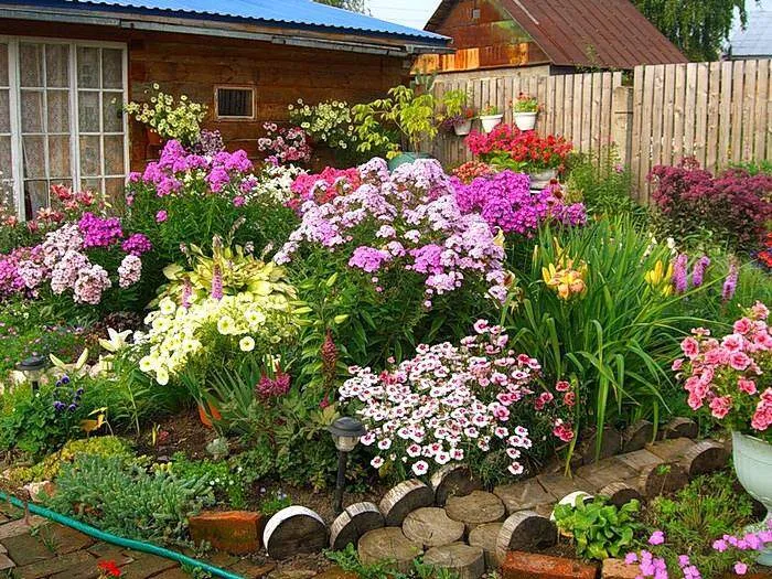 Как посадить цветы на собственной даче