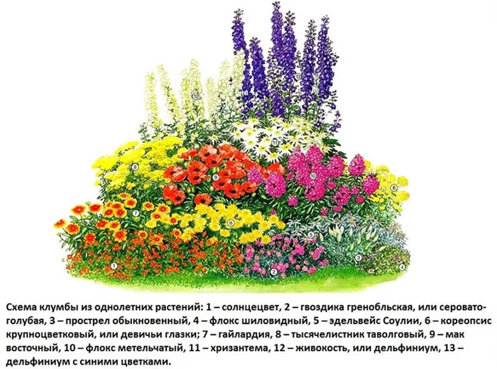 Планы посадки растений в цветниках