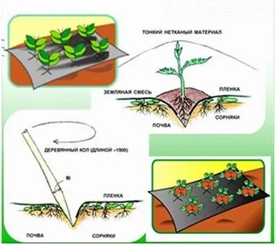 Системы использования покрытия из нетканого материала против сорняков